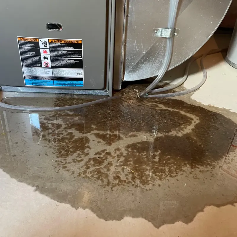 Appliance Leak Cleanup in Arecibo, PR